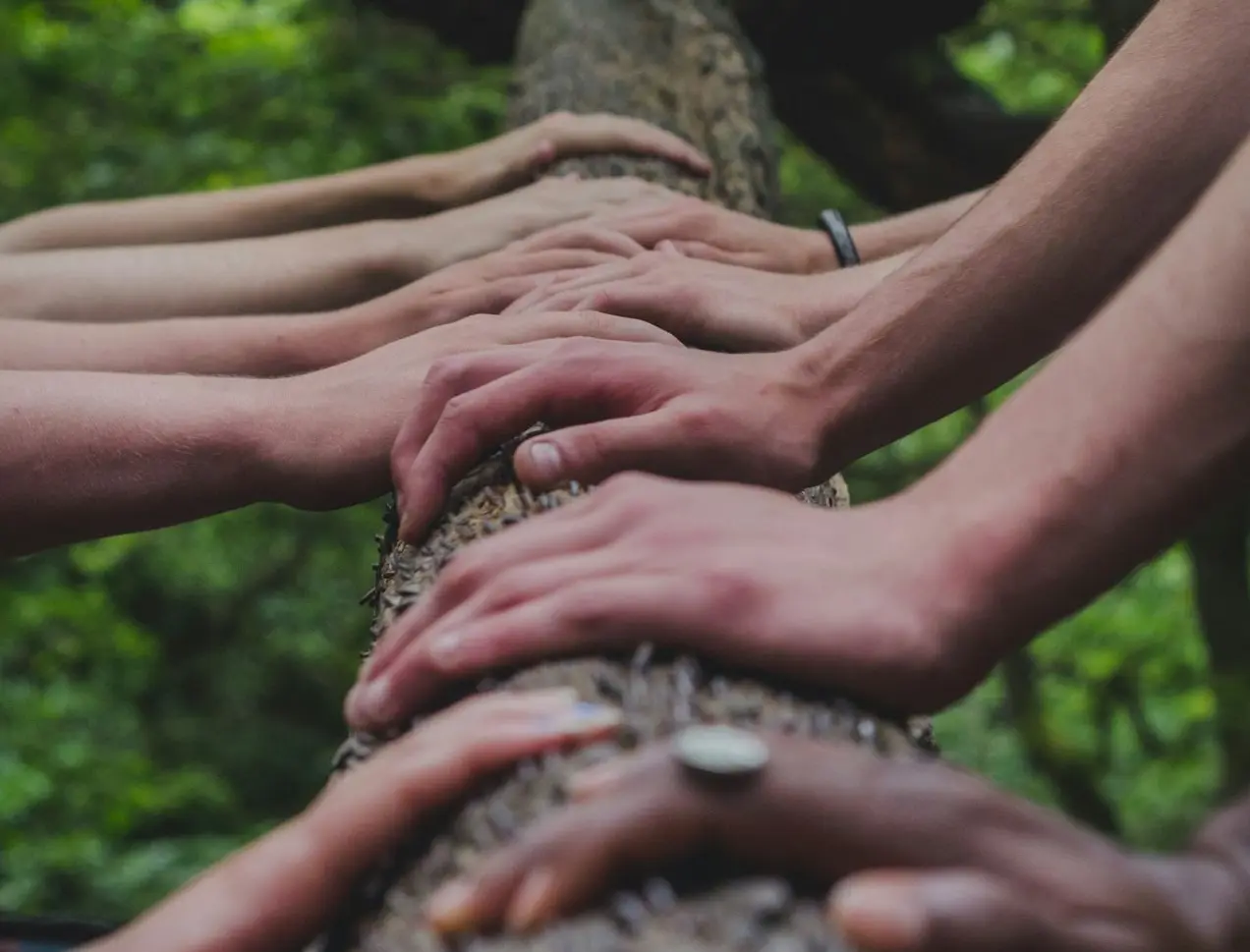 a group of people holding hands on top of a tree