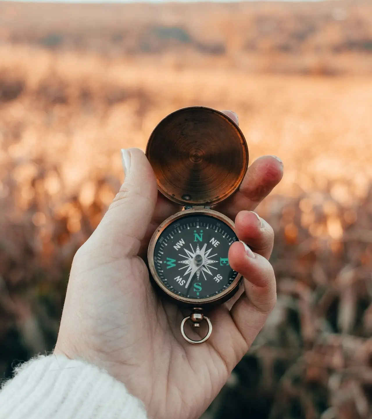 person holding green and gold compass